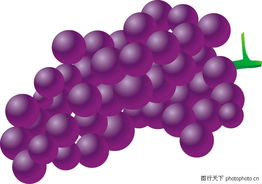 水果變酒吧！用新鮮果子做出大人味飲料的秘密武器